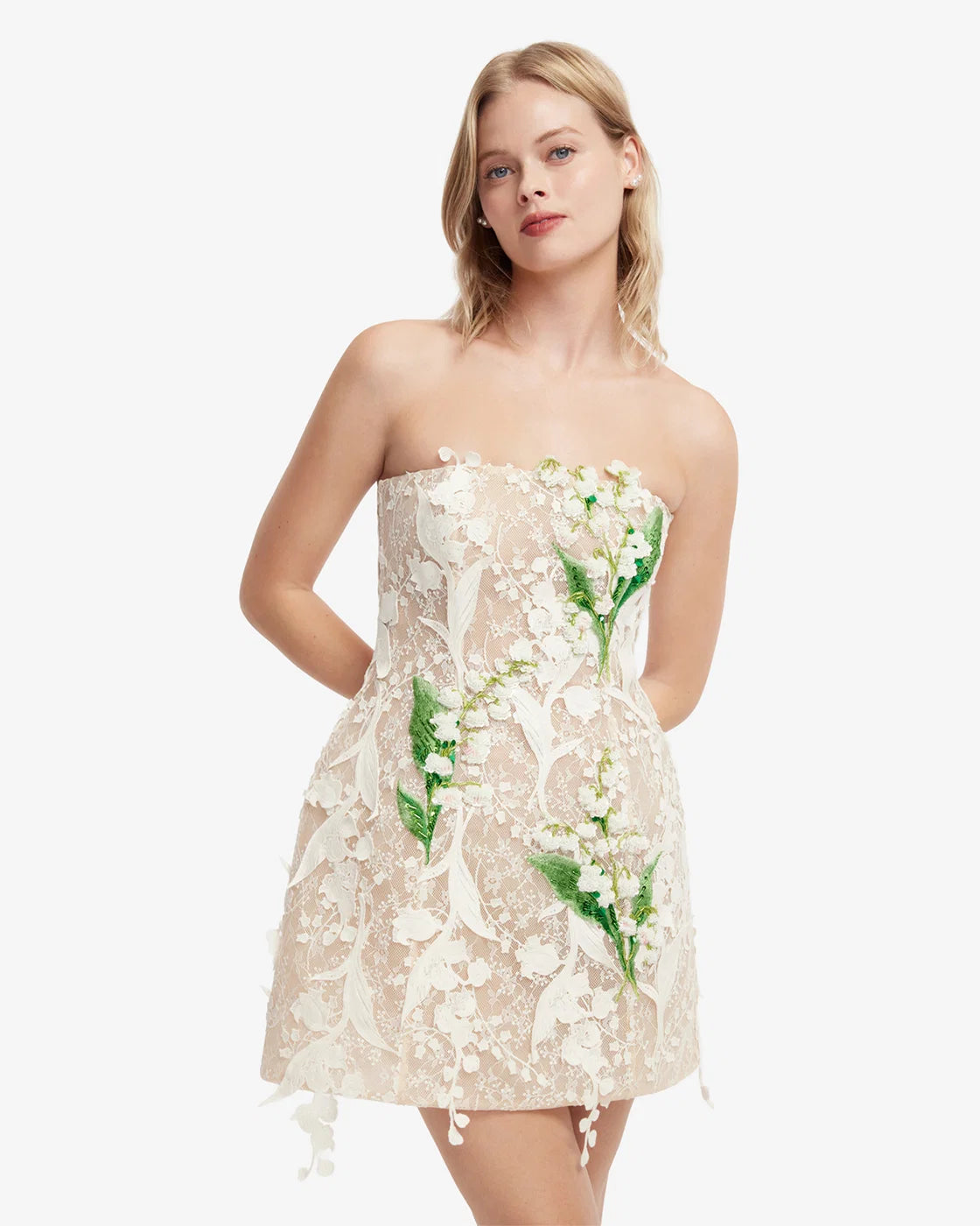 Roselle Embellished Lace Bustier Mini Dress