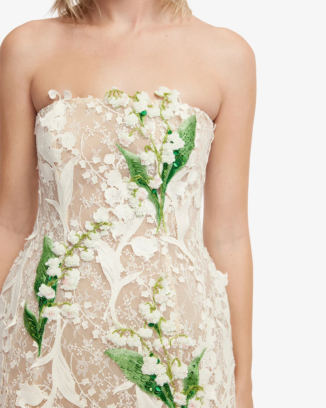 Roselle Embellished Lace Bustier Mini Dress