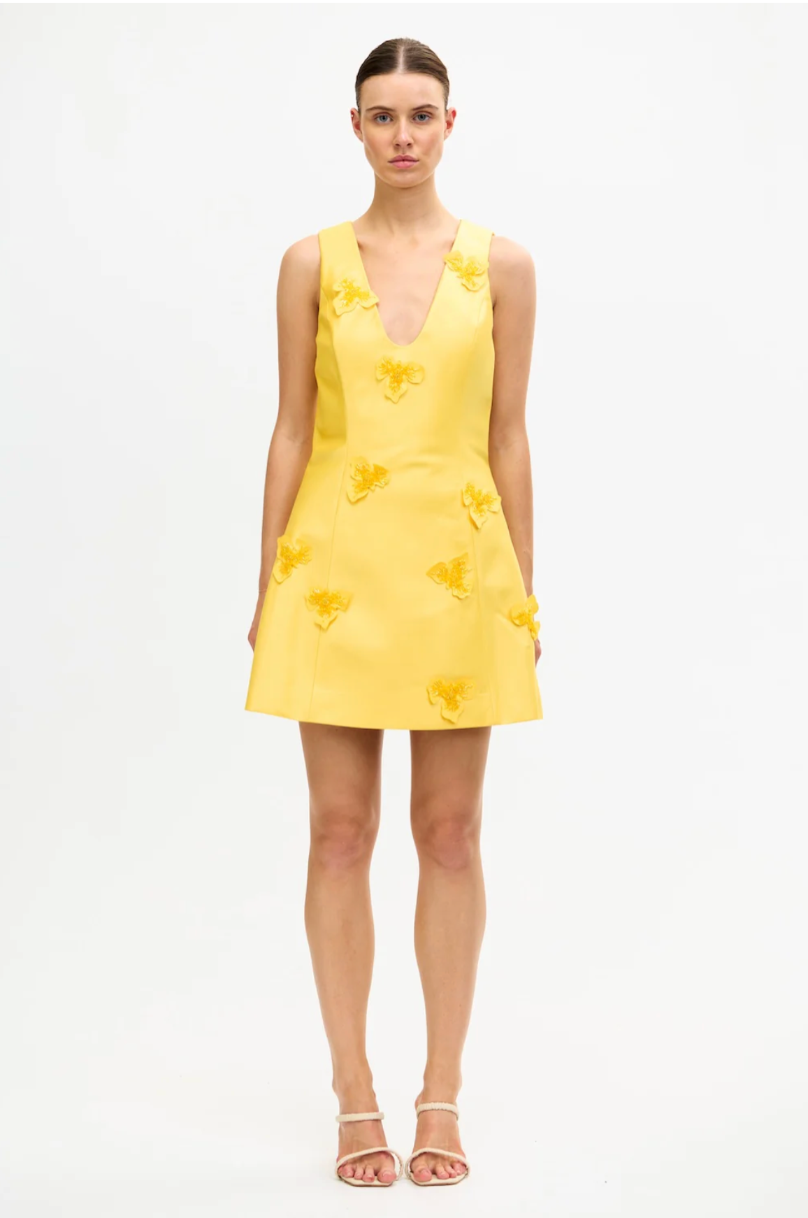 DAFFODIL BLAIRHALL MINI