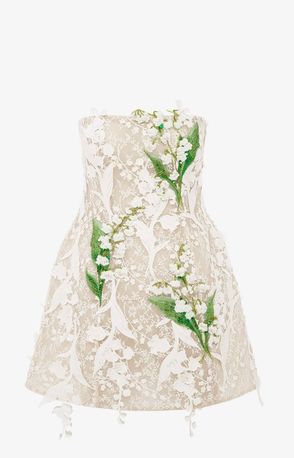 Roselle Embellished Lace Bustier Mini Dress