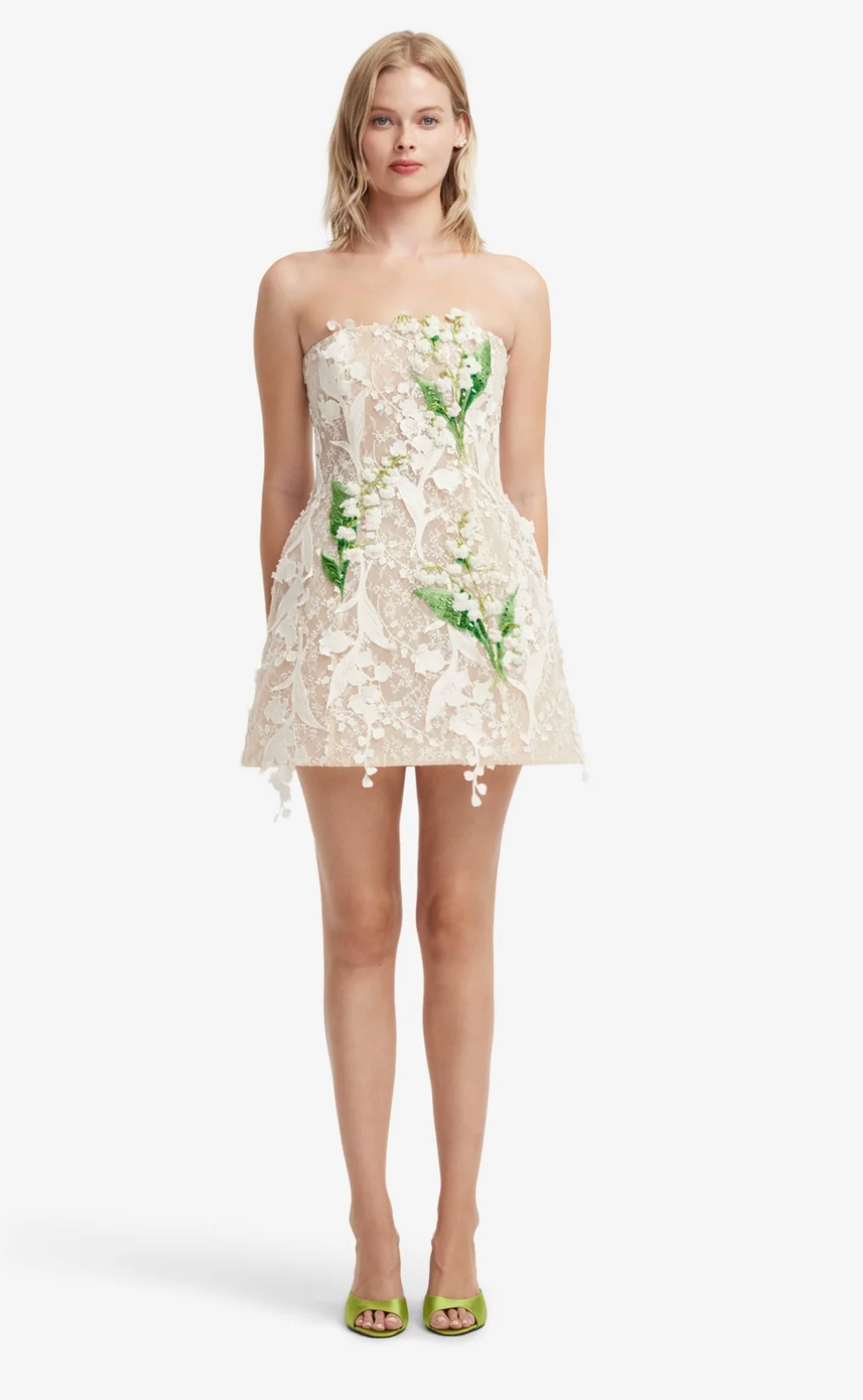 Roselle Embellished Lace Bustier Mini Dress